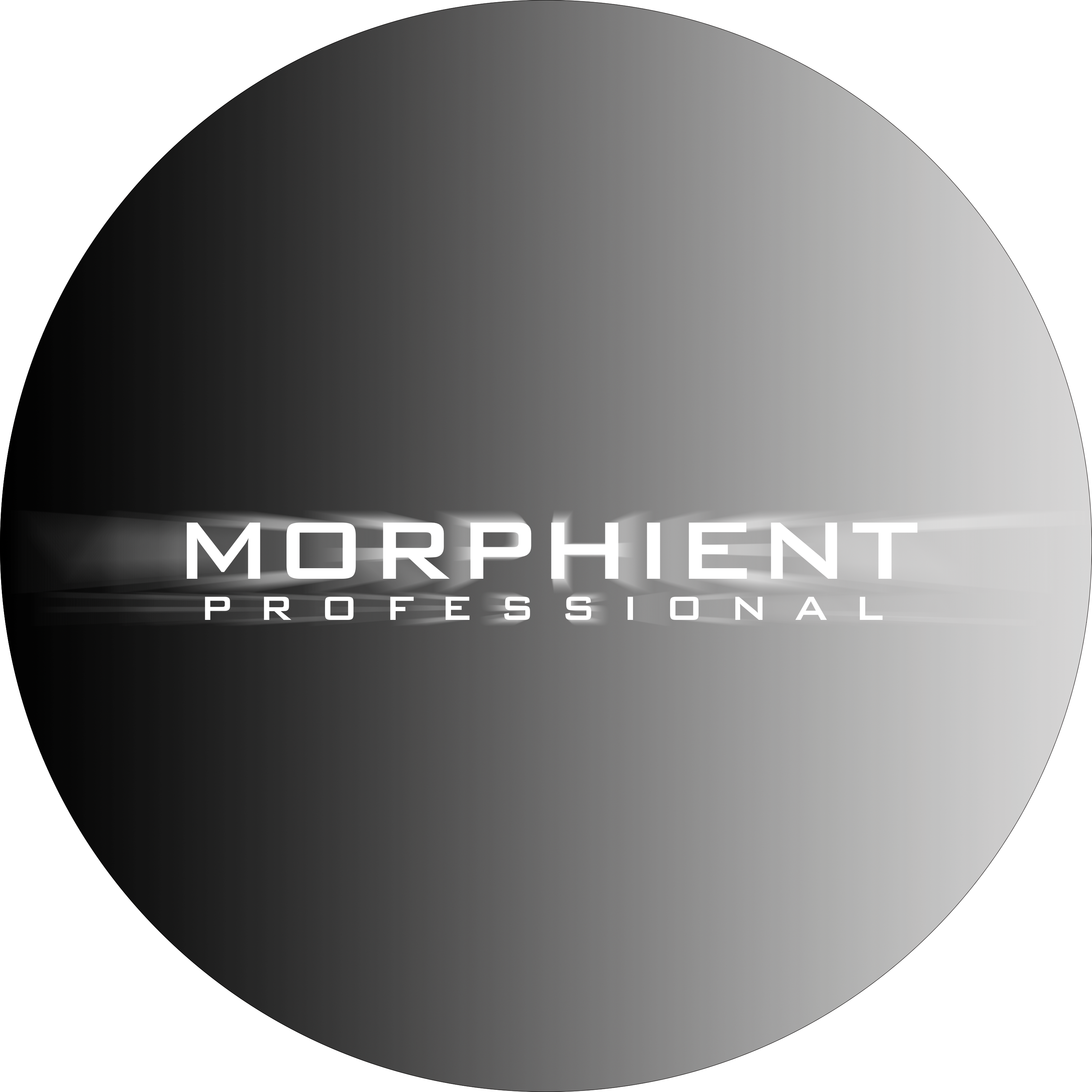 morphient.pro